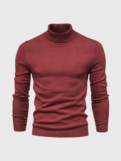 Pull à col roulé classique pour homme | Chaud