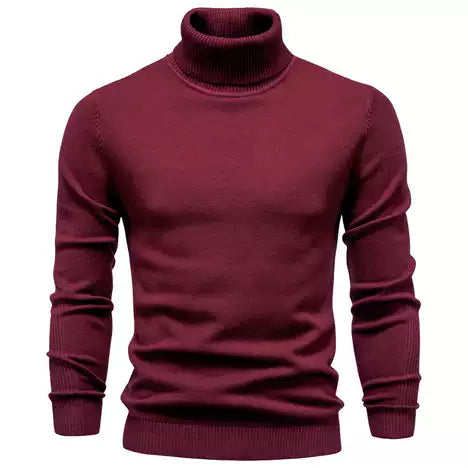 Pull à col roulé classique pour homme | Chaud